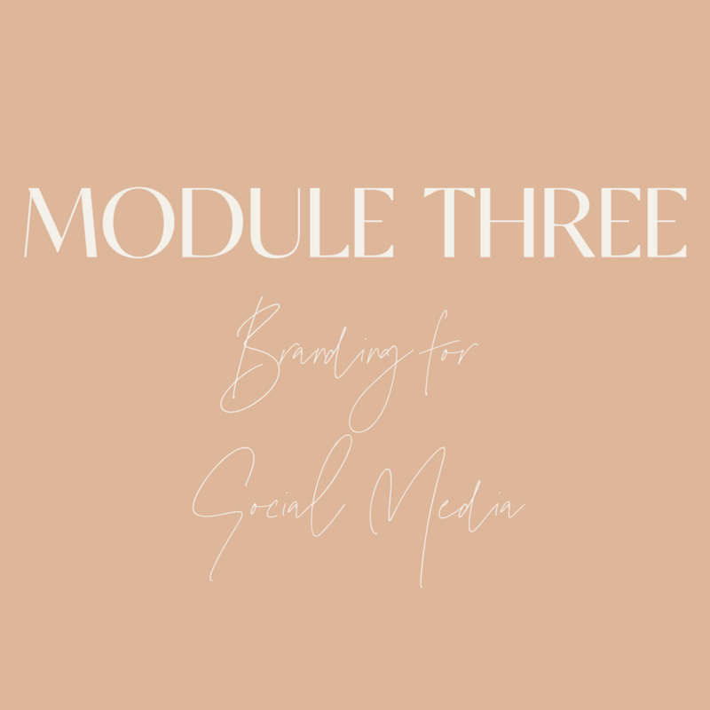 Instagram graphic reading- "module three-branding for Social Media"