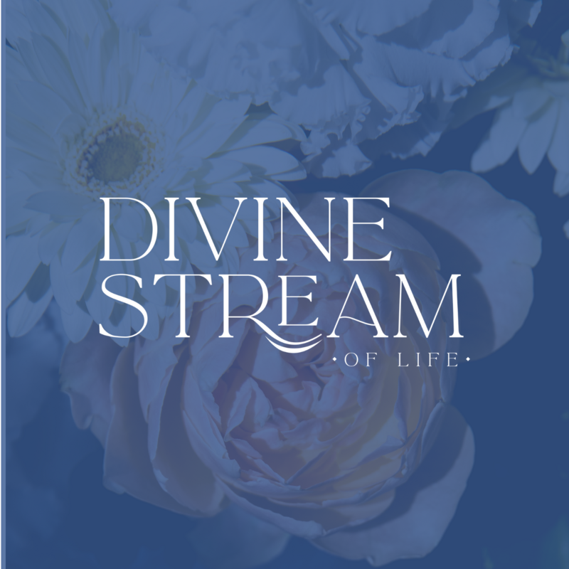 Divine Stream  Logo