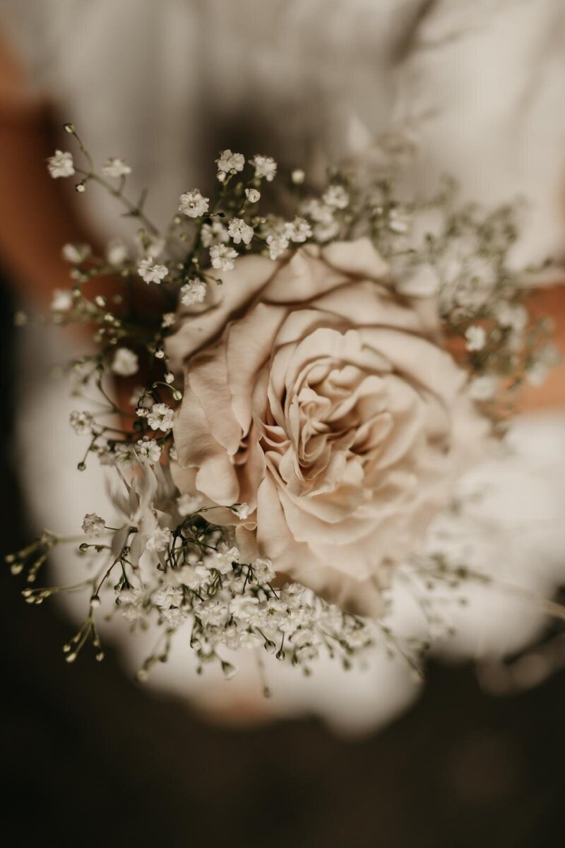 WhatsApp Image 2024-08-05 at 11.16.30 (7)