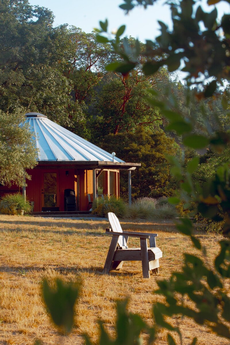 Spiritual Psychedelic Journeys in Mill Valley