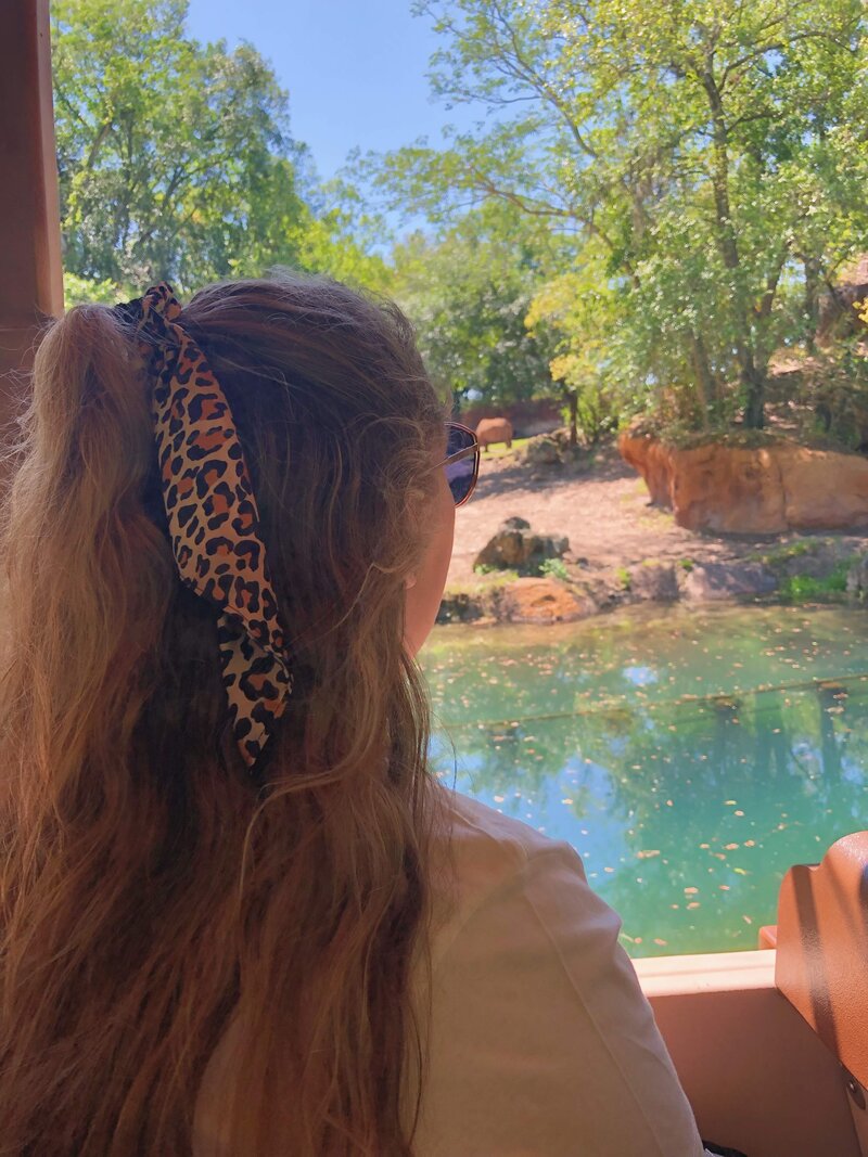 disney 2019 4