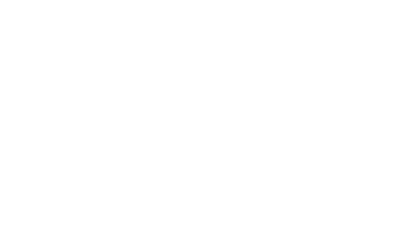 our portfolio
