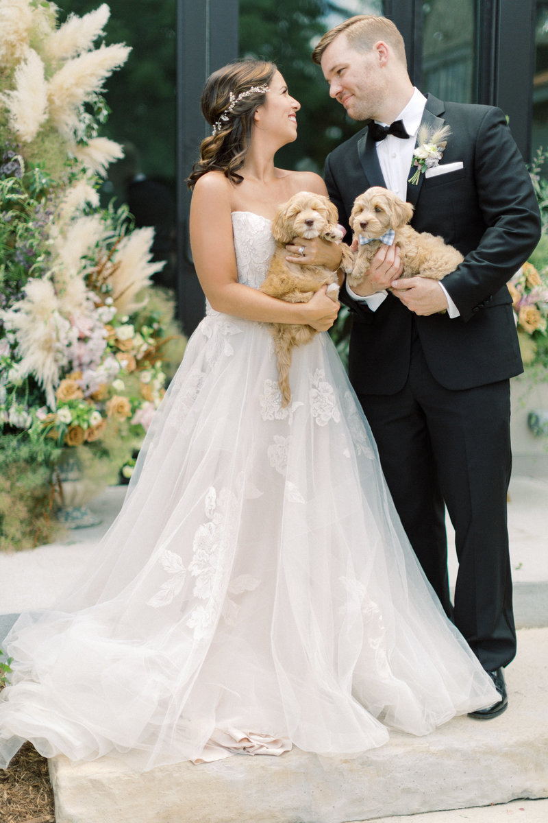bride and groom holding puppies