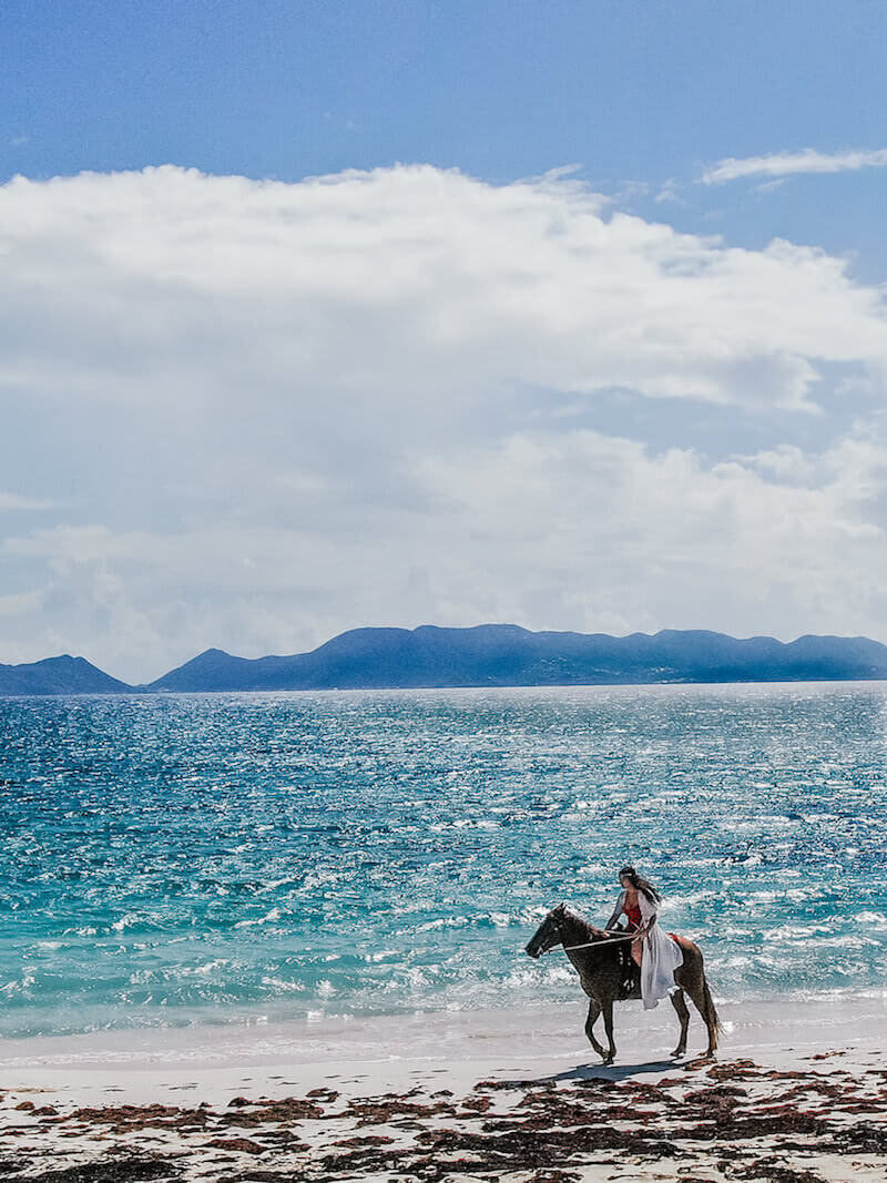 horseback on beach