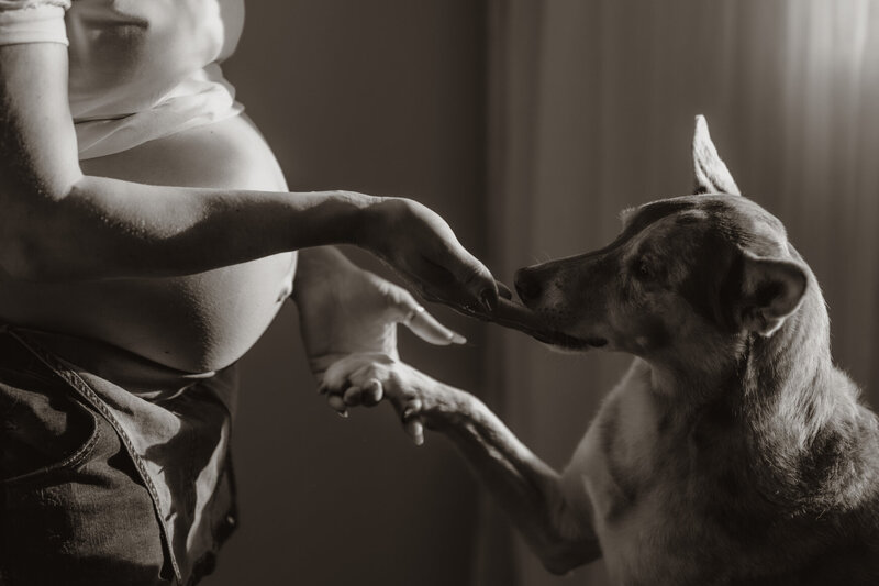 the-lifestyle-phodographer-perth-family-pet-photographer-maternity-newborn00024