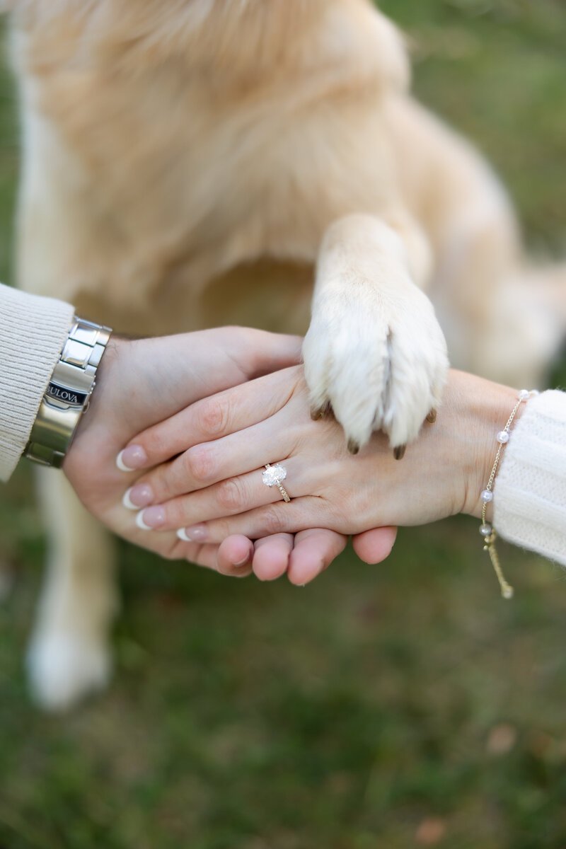 kelsee-risler-photography-new-york-engagement-photographer-george-eastman-museum-martine-kocktails-alyssa-mason-engagement-28