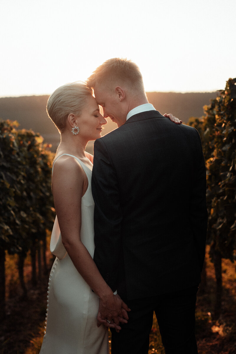 Elegantes Brautpaar im Sonnenuntergang inmitten der Weinberge stehend.