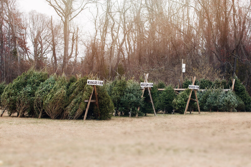 22.12.10_AcresatMagnolia_Christmas2022-116