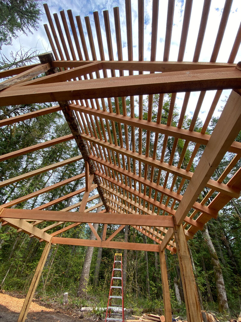 Wooden pavilion framing with beams under a forest sky