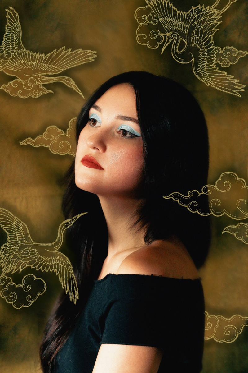 Columbia, South Carolina photographer featuring subject posing in front of a green backdrop with Japanese crane illustrations drawn on the image