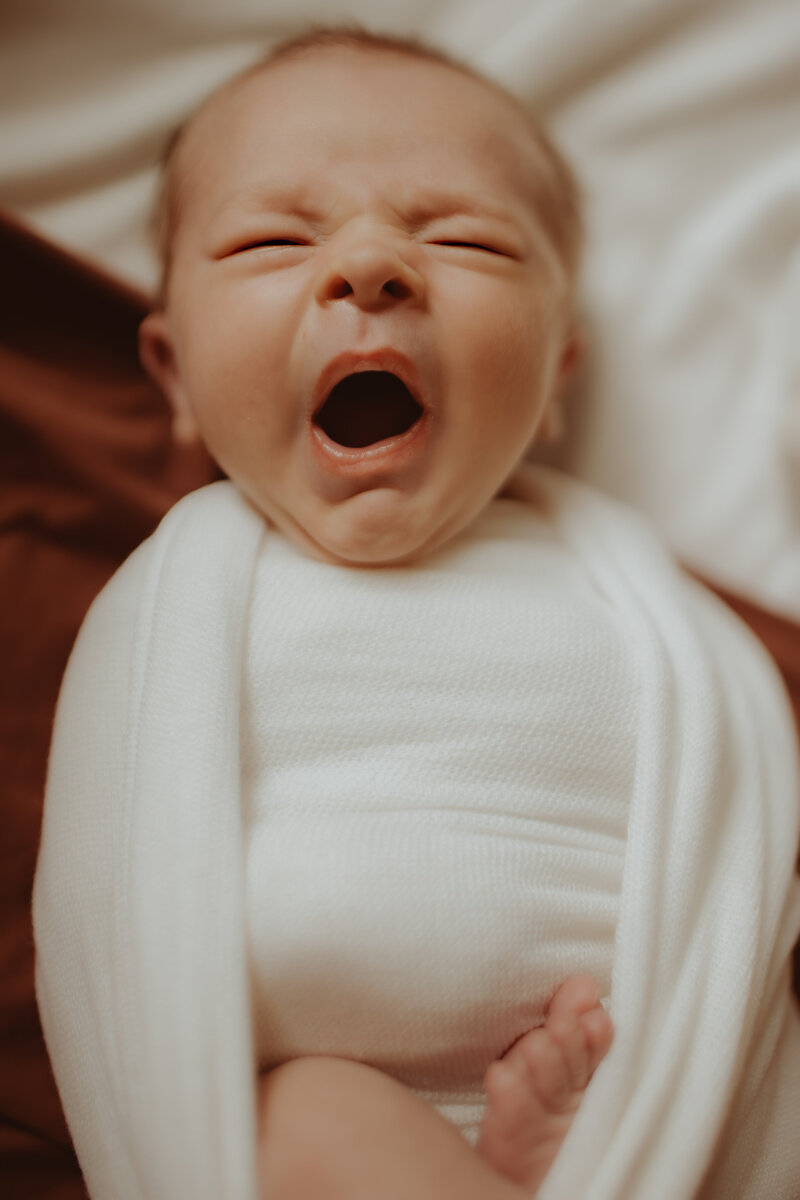murfreesboro tn newborn photographer