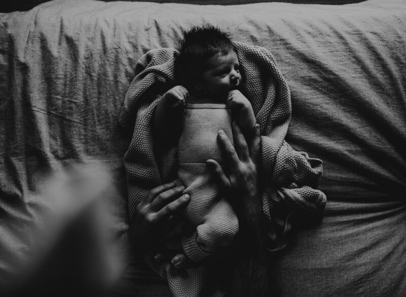 rex newborn71