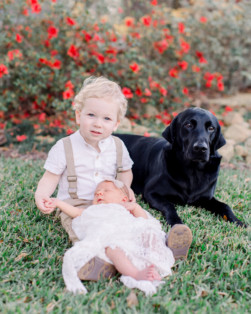 Madison-Sneak-Peek-30