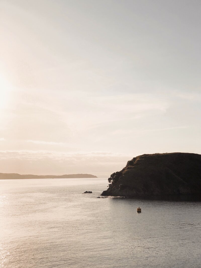 edvinas-bruzas-Jeda5mLHAL8-unsplash