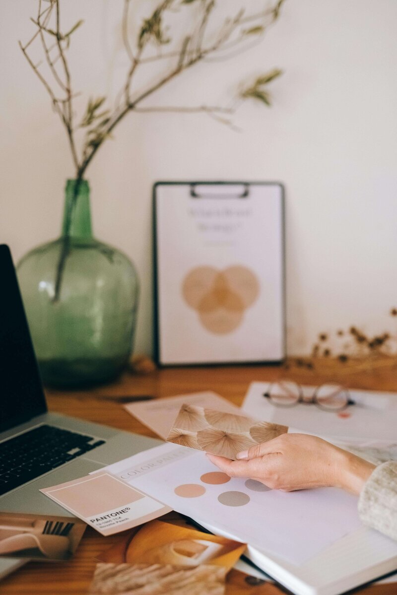 herbier graphique identité visuelle branding image marque©pexels-leeloothefirst-7598069