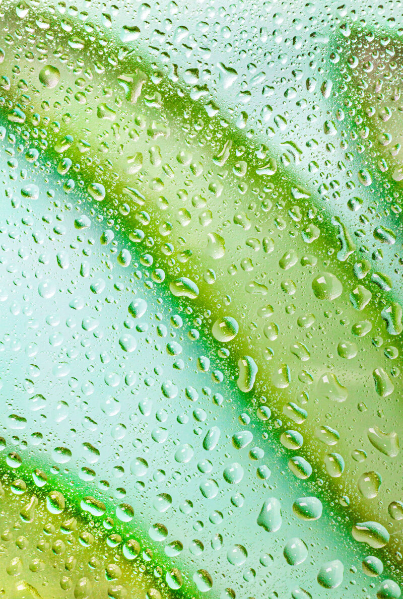 Macro-photographie d’une feuille d’aloe vera recouverte de gouttes d’eau, sur fond vert clair. Image fraîche et lumineuse illustrant la beauté naturelle – Studio Helloday.