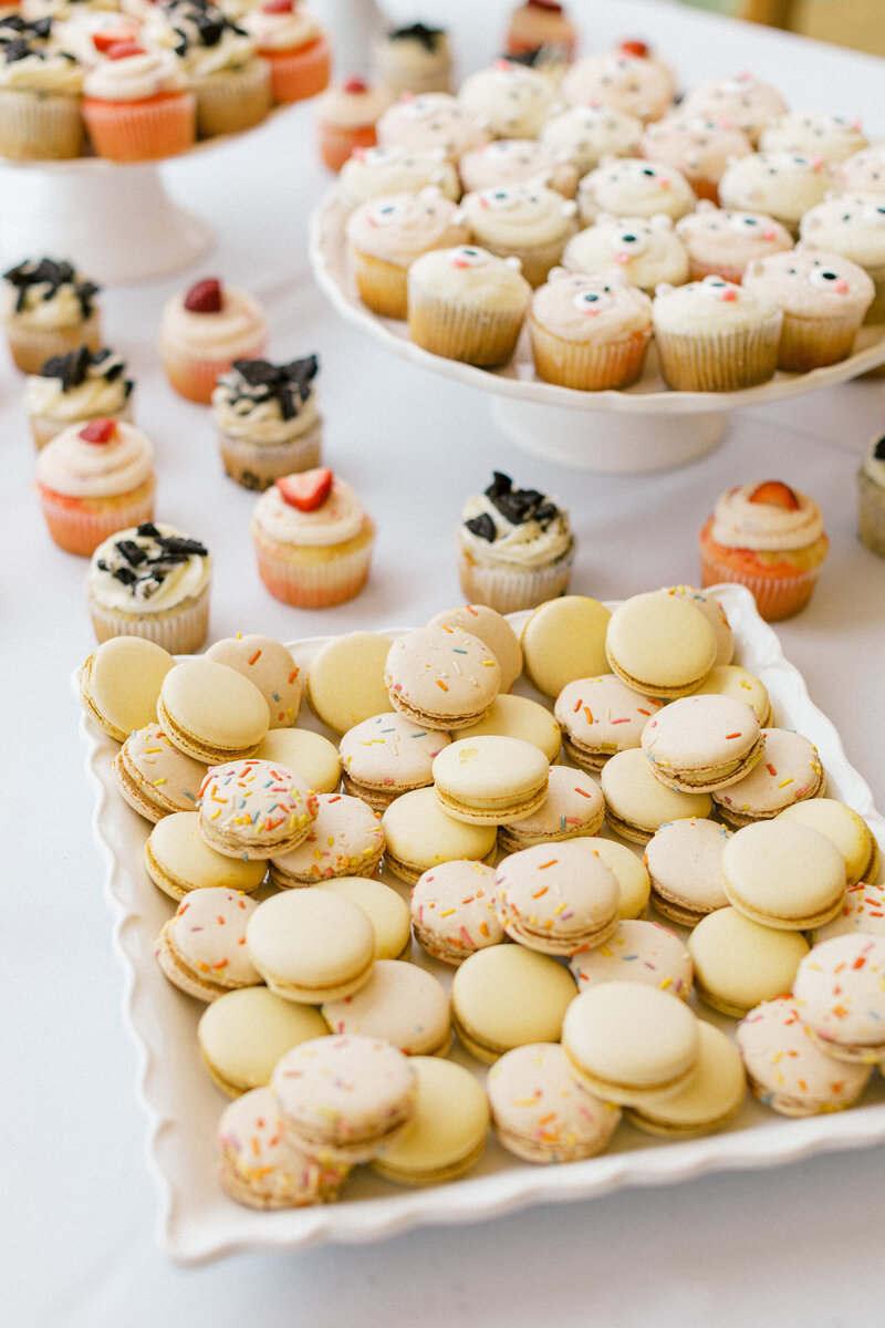 Greystone-Castle-Wedding-Photographer-63