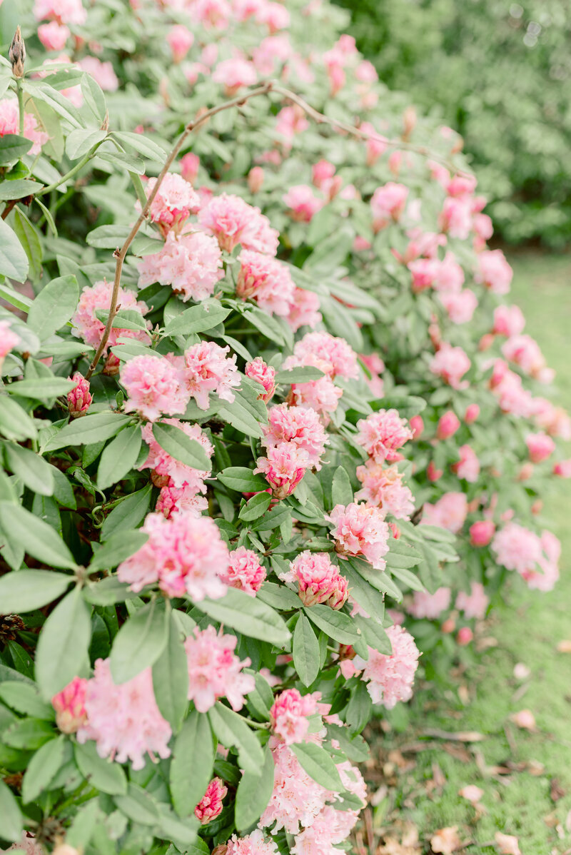 Roseberry-House-Wedding-JCP_5603