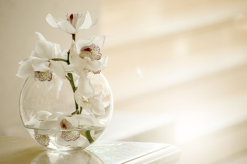 orchids in clear vase