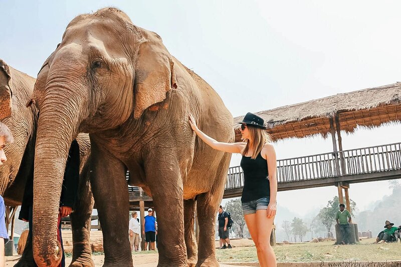 Best-Elephant-Sanctuary-Chiang-Mai-15