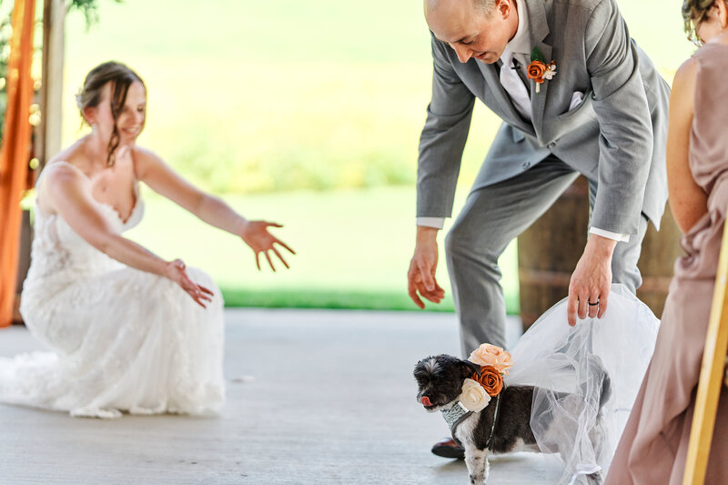 MPY_HG_B_A7R5_FM_20250920_1690