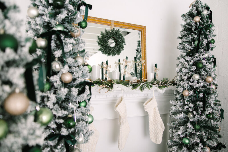 AC_Goodman_Photo_ChristmasMini25_Promo-24