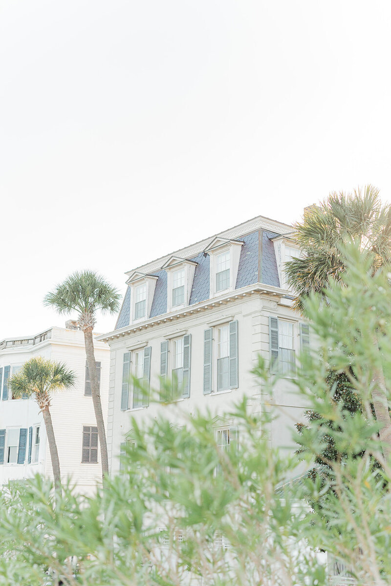 Charleston Proposal Photographer | Laura and Rachel Photography