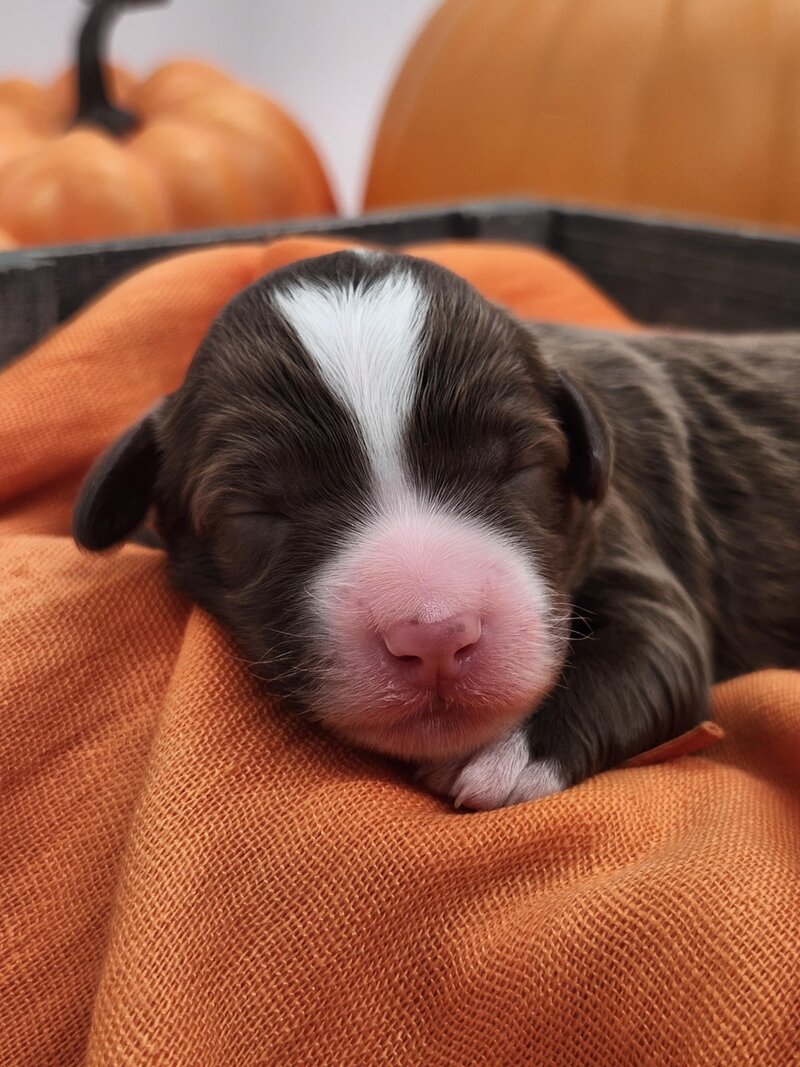 60cfcc1b-adb5-498b-99cd-5c07ead0bf2c