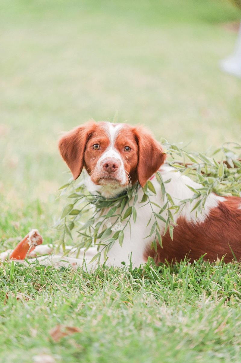 09.2019___Associate___Wedding___Emma___Jeff___BLOG_(107_of_118)
