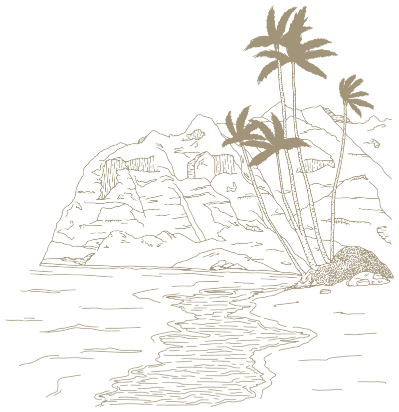 hawaii illustration