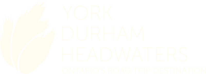 YDH_logo-cream