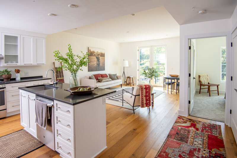 luxury kitchen and living room