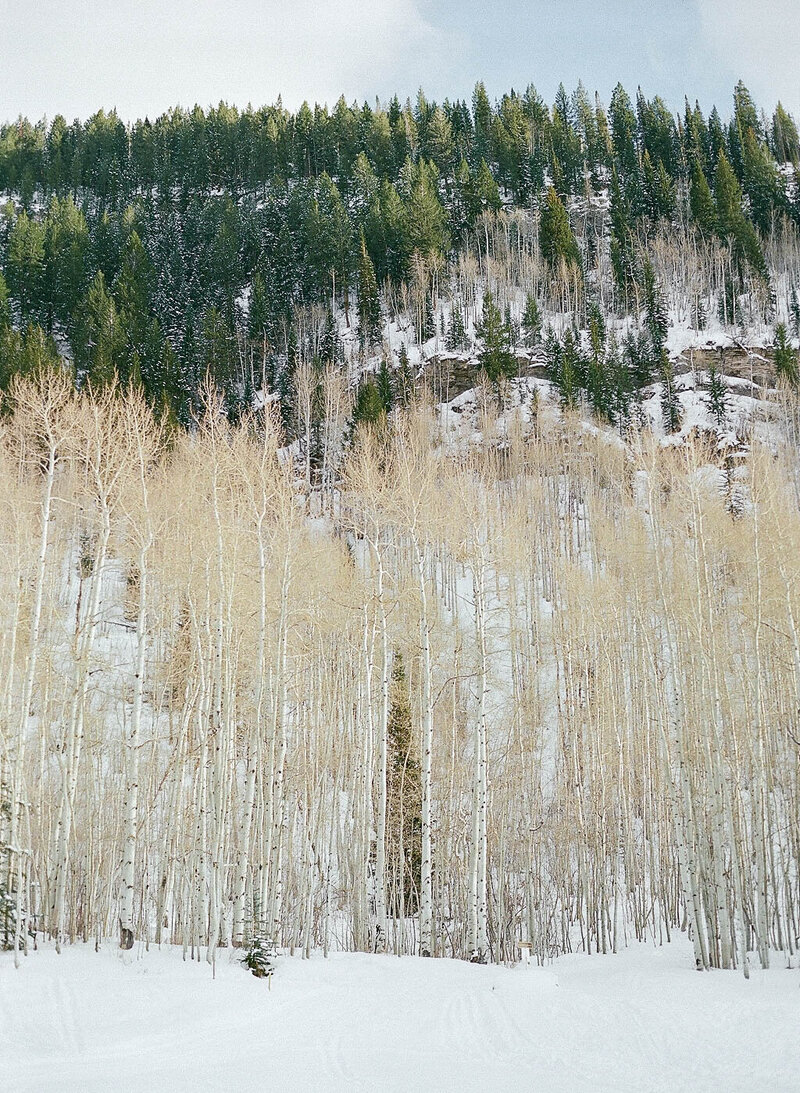 filmvailwinter
