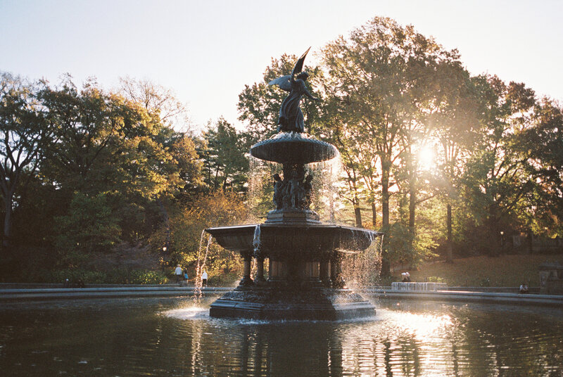 nycfilm-42
