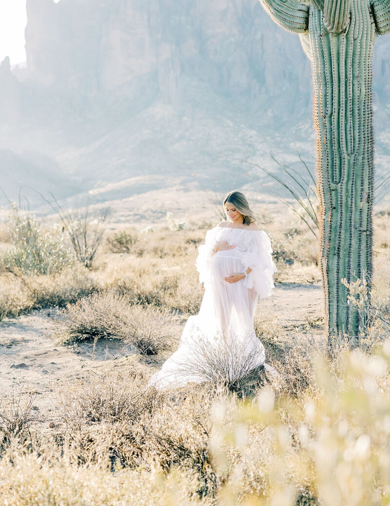 Phoenix-Maternity-Photographer-Adelheidv-Photography-7
