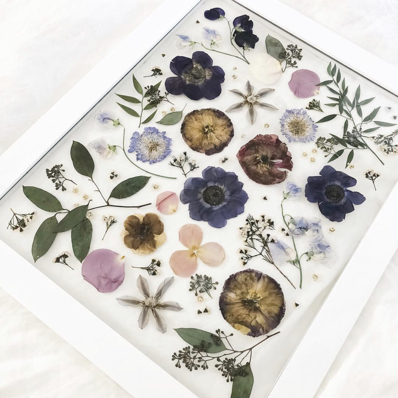 picture of pretty pressed flowers