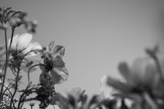 02cba1eb-9c1b-4ca1-917d-328017ea695c