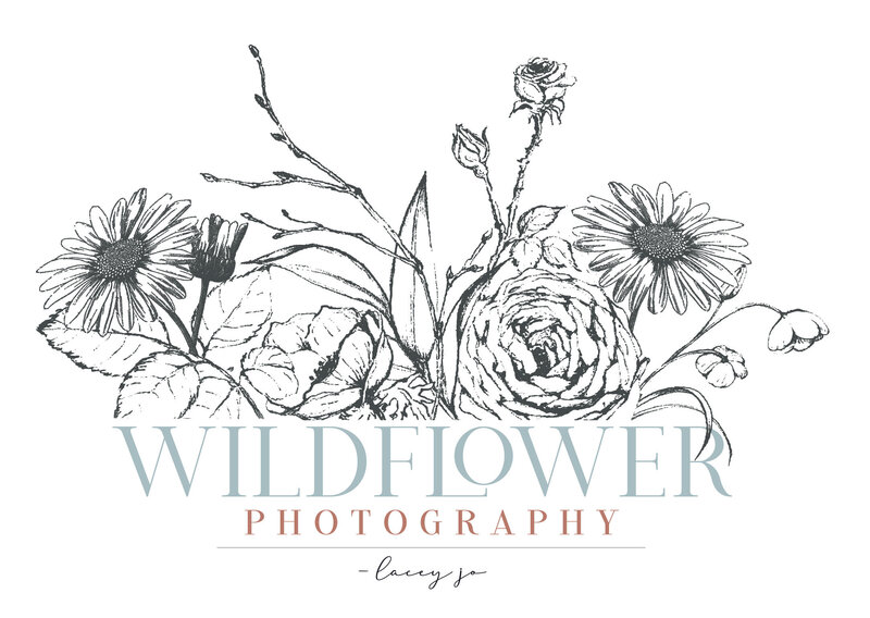Final_Wildflower_Photography