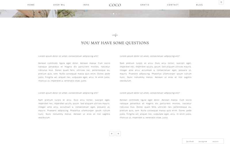 Showit theme for coaches and creatives - minimalistic, elegant & classy 04