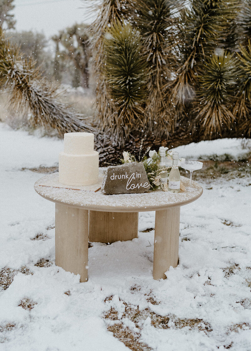 Joshua Tree Elopement Photographer