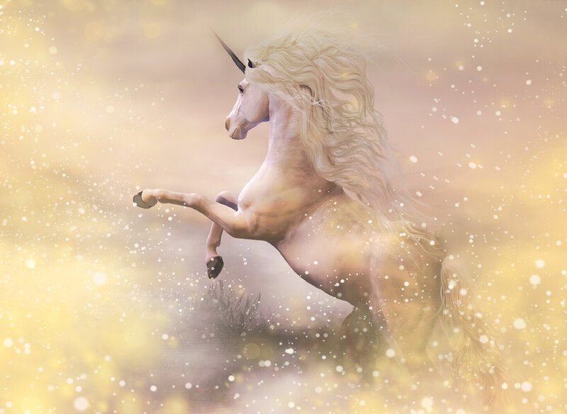 Experience the Wonder & Miracles of the Unicorns. | Sherry Lynn | Multidimensional Healer & Ascension Mentor for New Earth Leaders.