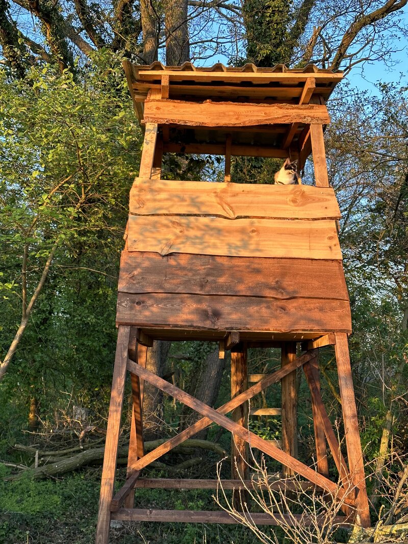 Hochsitz