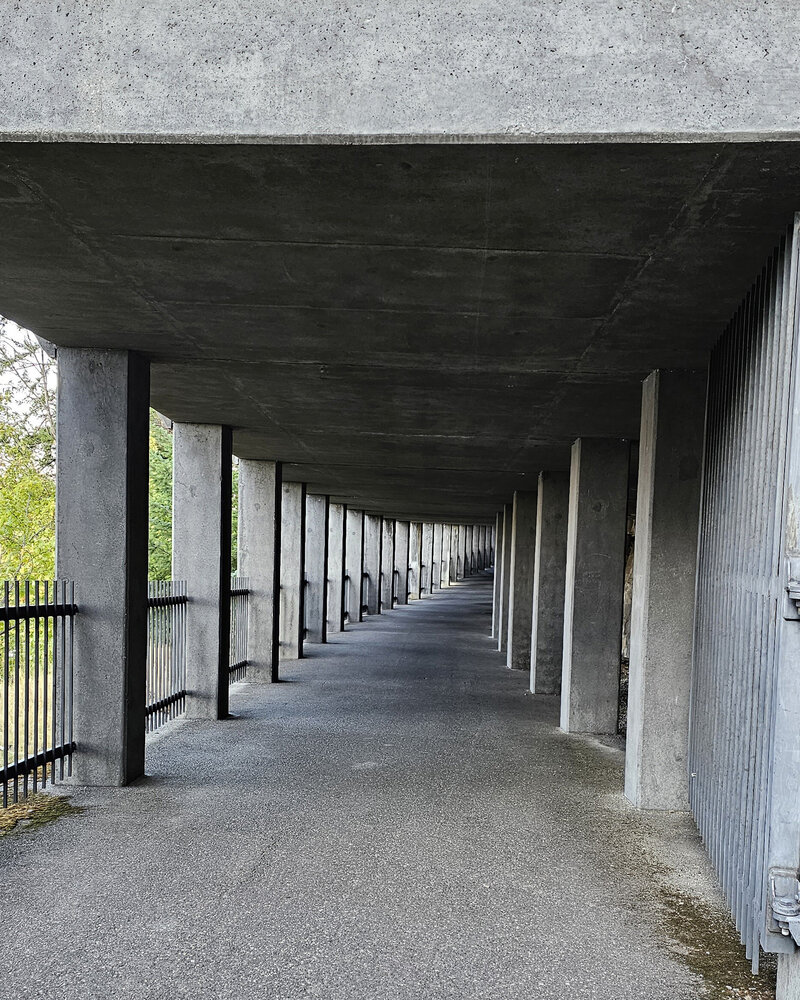 Experience the thrill of riding through the concrete tunnels in Mosier, offering a different perspective from the surrounding trees with The Gorge E-Bike Adventure Rentals