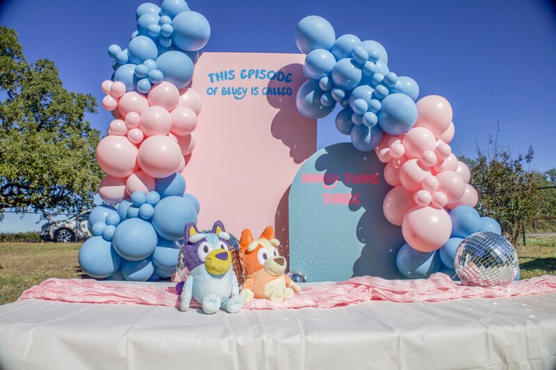 Bluey themed birthday party, pink and blue balloons with backdrop
