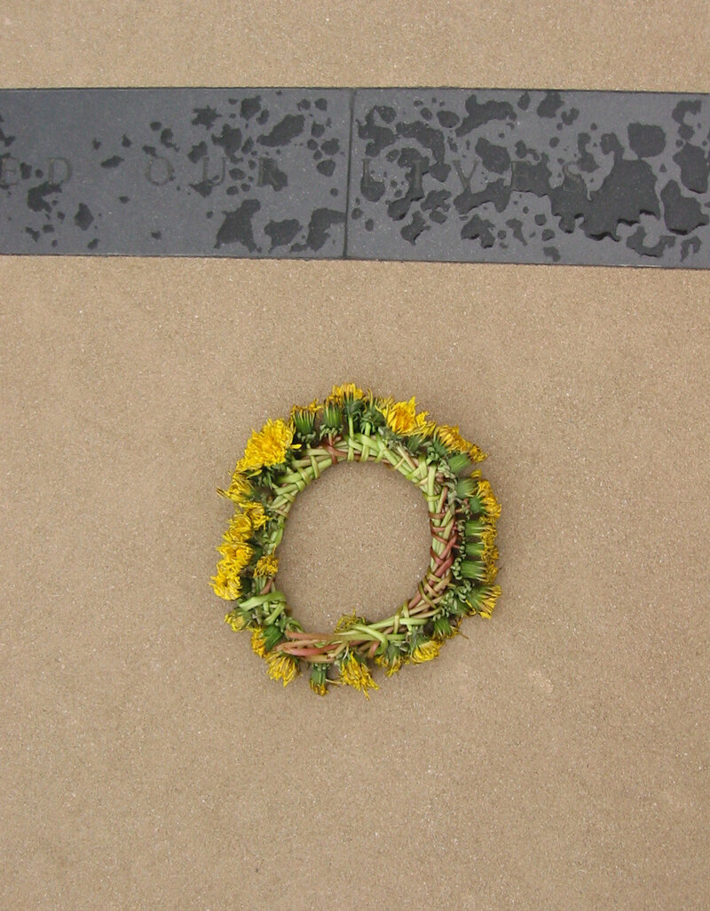 rebecca's work at cornell 115