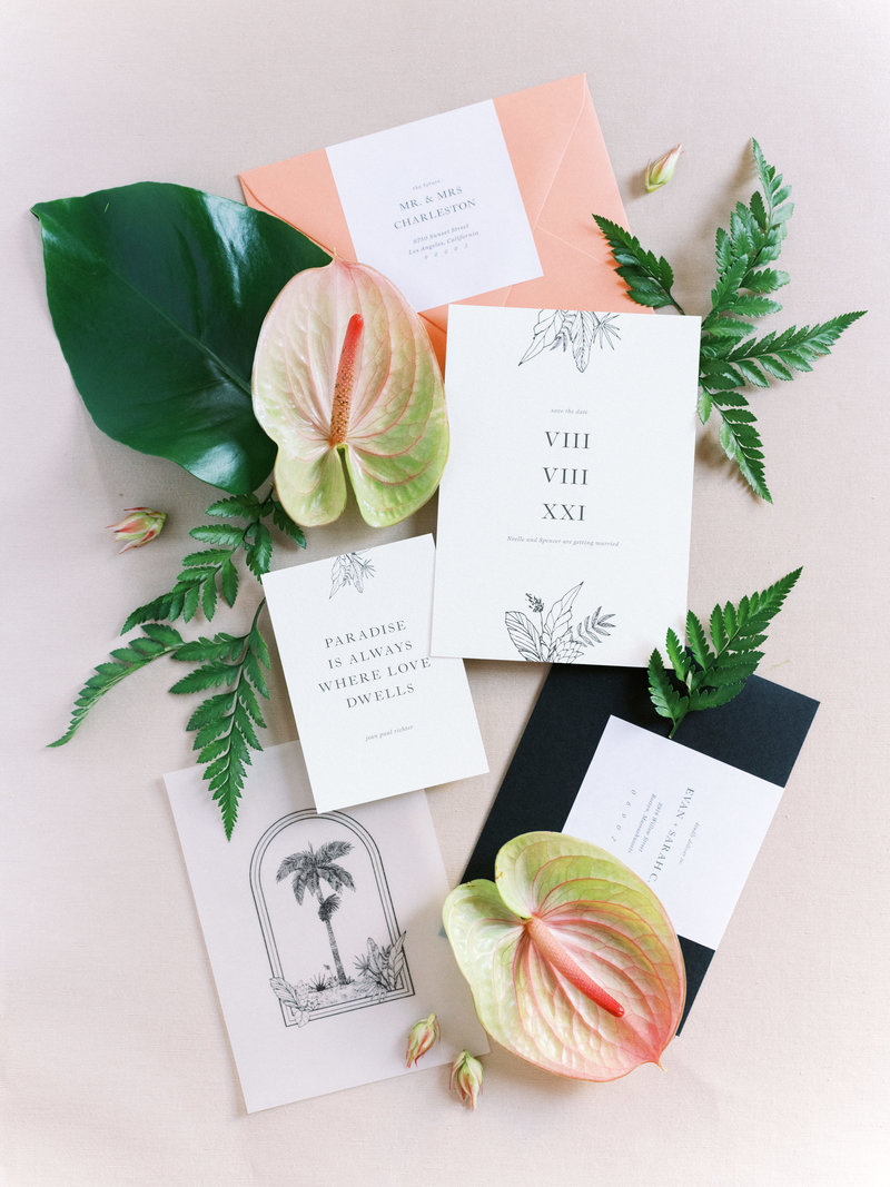 LDM_0819Tropic_G7821
