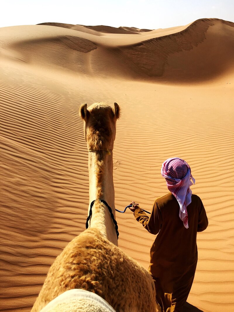 _walking camel