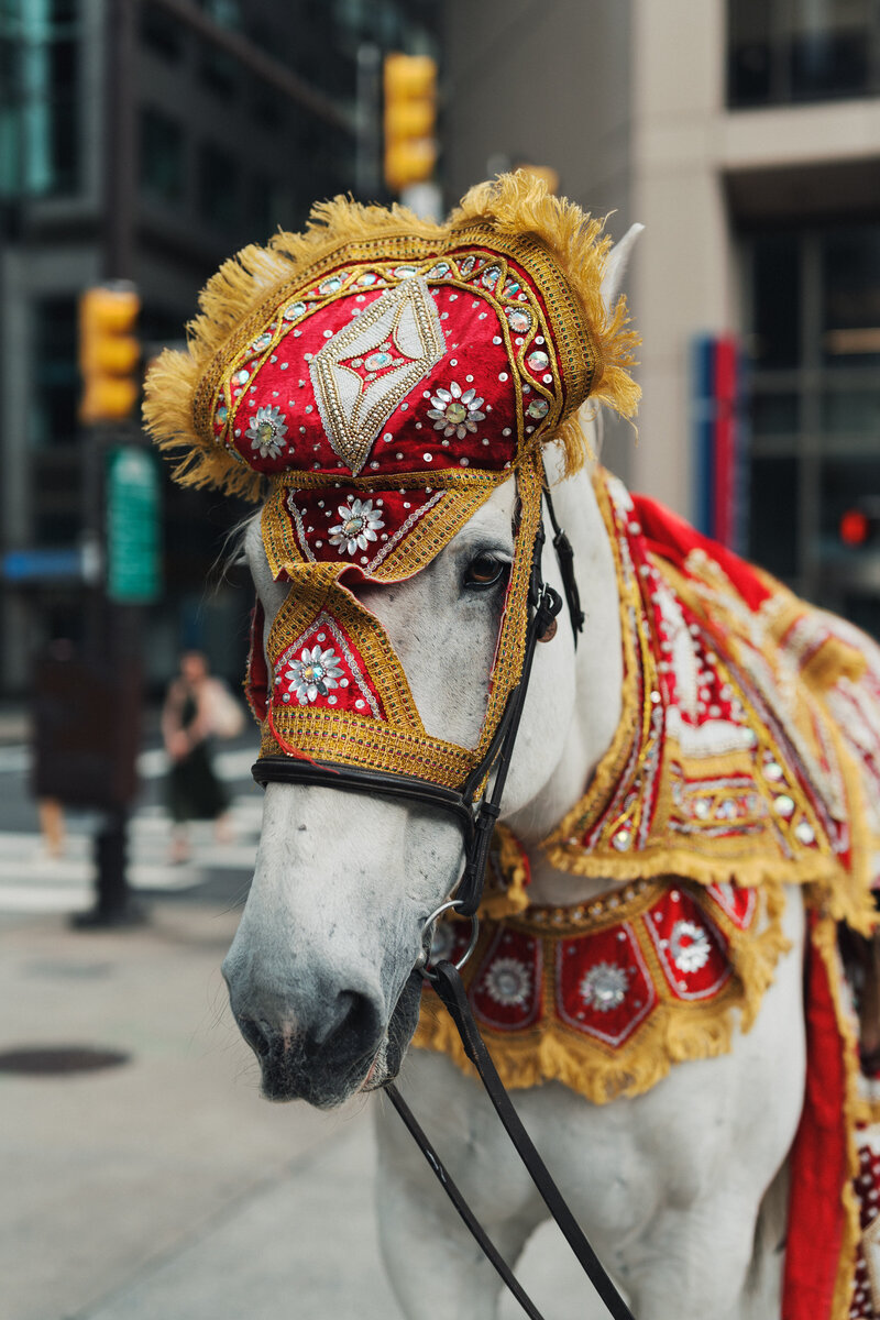 Alexa + Kushal-03647