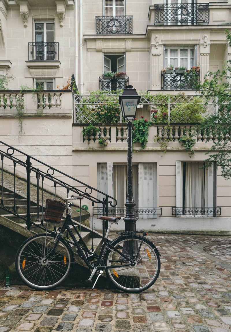 the streets of paris