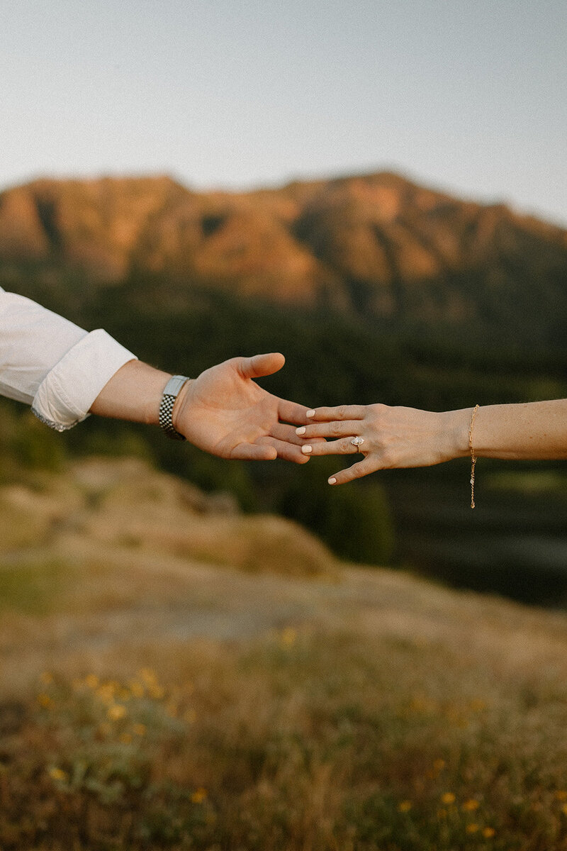 danielle-daniel-engagement-photos-taylorraephotofilm-177